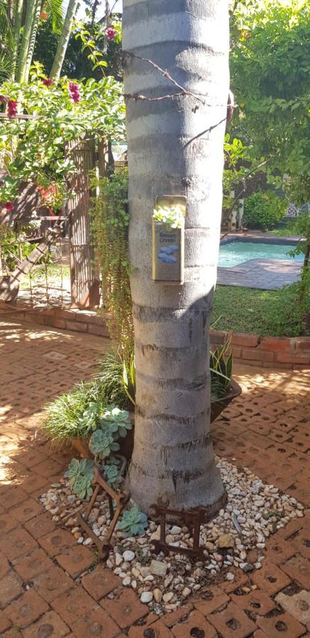Africas Eden Guesthouse Mookgophong Exterior foto